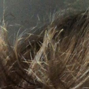 Meet your Posher, Max